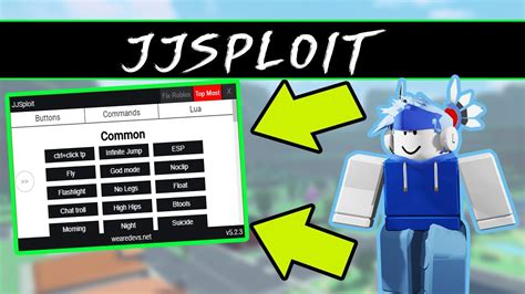 If so, then download Synapse X. . How to use scripts in roblox hack